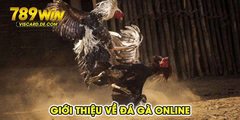 Giới thiệu về đá gà online